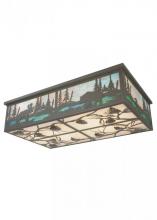 WILDLIFE AT PINE LAKE