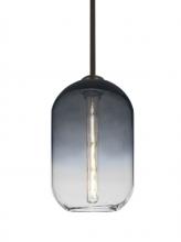 Besa Lighting 1TT-OMEGA12ST-EDIL-BR - Besa, Omega 12 Stem Pendant, Steel/Clear, Bronze Finish, 1x5W LED Filament