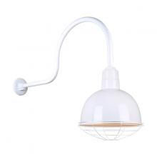 Hi-Lite MFG Co. H-QSN16110-SA-93/QSNHL-C-93/QSNWGR-10-93 - 10" Gooseneck Light Deep Bowl Shade, QSNHL-C Arm, Wire Guard Accessory