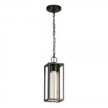 Eglo 204707A - 1 LT Integrated LED Outdoor Pendant w/ Black Finish & Clear Seeded Glass