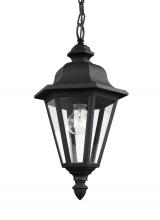 Generation Lighting 6025-12 - Brentwood One Light Outdoor Pendant