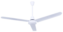 Canarm CP56DW11 - 56" White High-Performance Weatherproof DC Industrial Fan
