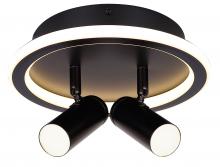 Canarm LCW314A02BK - Denver 2 Light Black Ceiling/Wall Light