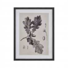  S0056-10636 - Oak II Botanic Framed Wall Art
